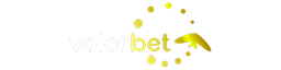 logo Volerbet